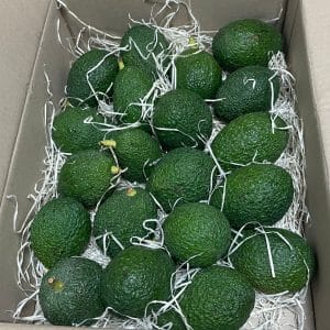 Aguacate Hass caja de 4 kg - Imagen 2