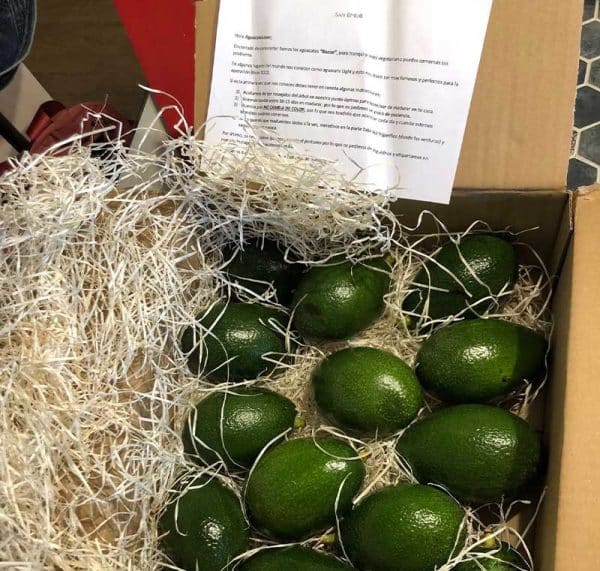 Caja de Aguacates bacon