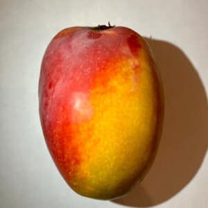Mango sensation