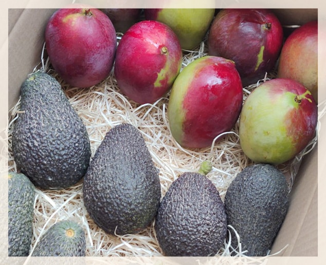 Caja de aguacates y mangos